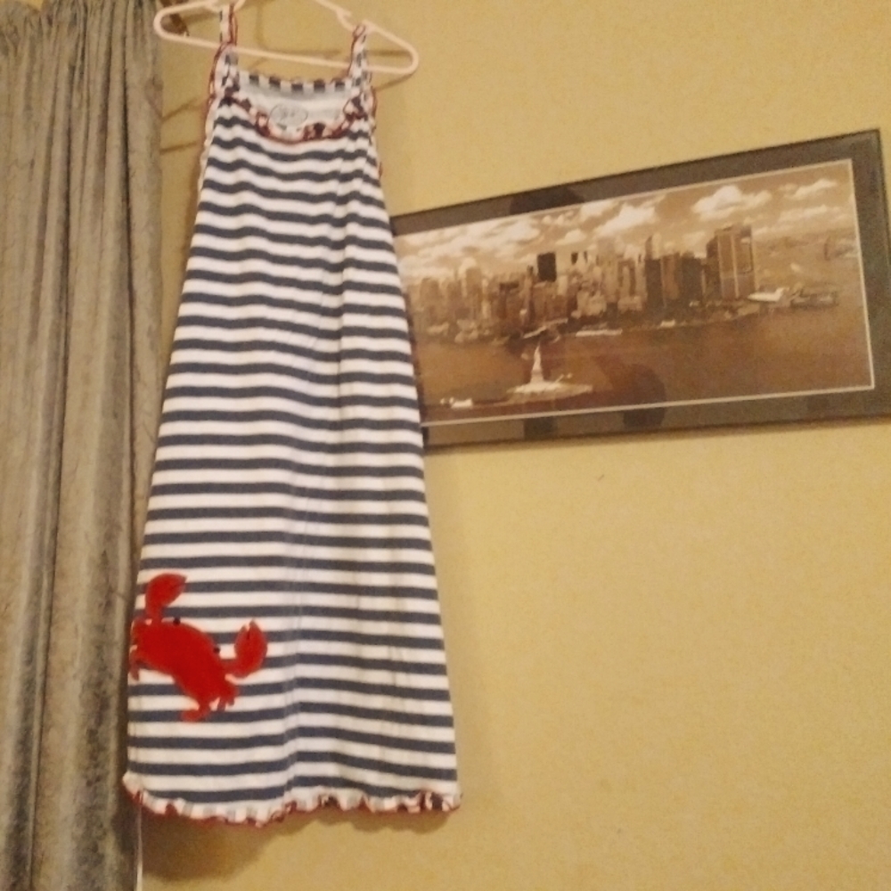 A lostpter blue and white dress